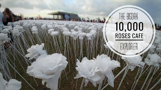 10,000 Roses Cafe Guide