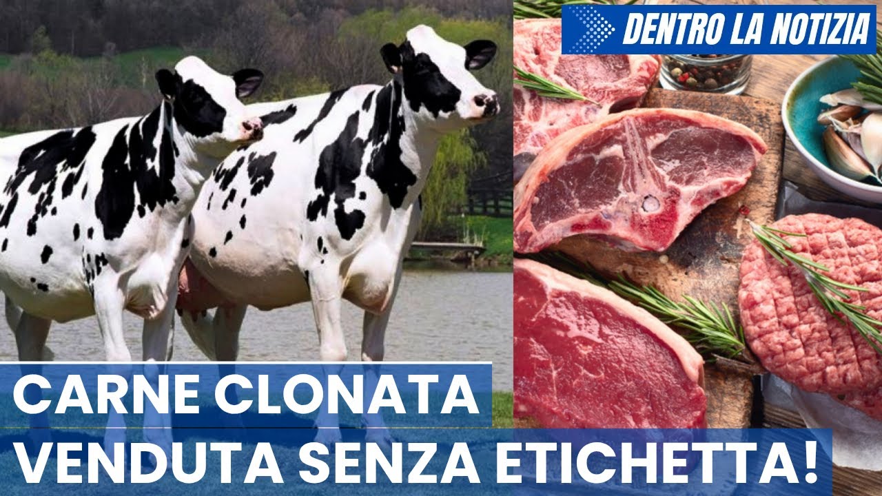 Canada revoca le restrizioni su carne bovini e suini clonati che può essere venduta senza etichette!