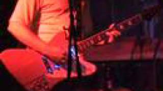 Amateur Lovers -- Greenest Tallest Trees [Live]