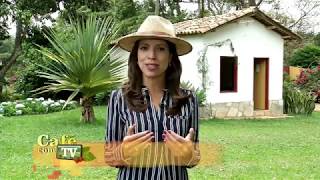Miniatura do vídeo