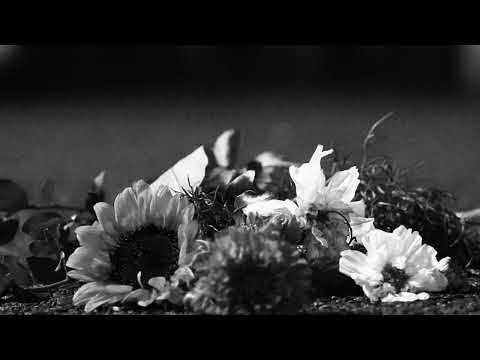 PODE feat MARZO JAMES & MUSGO ONE "SAMO"