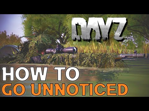 6 Ways DayZ Players Can Go Undetected!