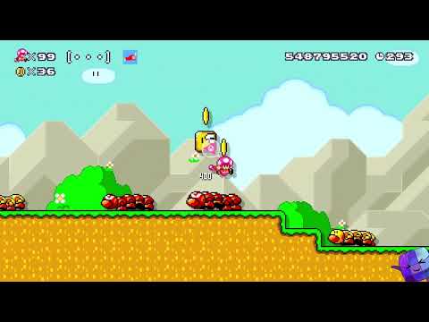 Super Mario Maker 2 🔨 Endless Challenge 19000+ #1233