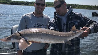 **39hrs PREFISH** Saskatchewan River Multi-Species