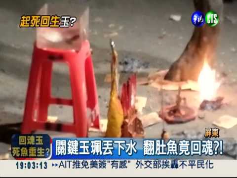 "回魂玉"救翻肚魚?! 全是唬弄人