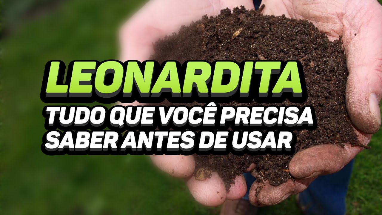 LEONARDITE - EVERYTHING YOU NEED TO KNOW BEFORE USING IT