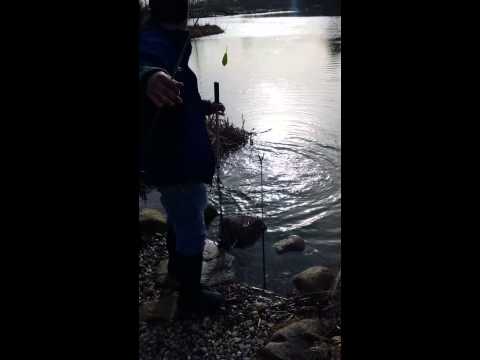 Thomas Fanger Ørresd