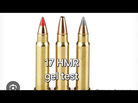 best bullet for the 17 HMR ? ballistics gel comparison
