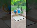 Unique Creativity Parrot Trap Shorts
