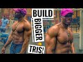 How to Get Bigger Triceps | Calisthenics | Workouts for Tricep