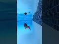 Our Daughter Swims Like A Mermaid ‍ ️
