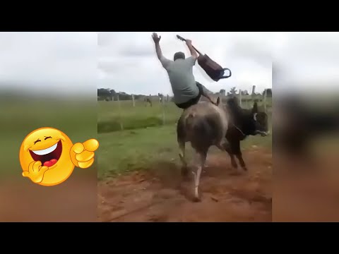 Animais da Fazenda Engraçados e Espertos - Parte 5