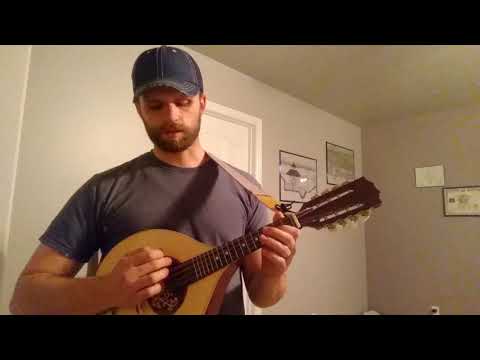 Hora M1085 Portuguese Mandolin I – Solid Wood – Made in Romania image 7