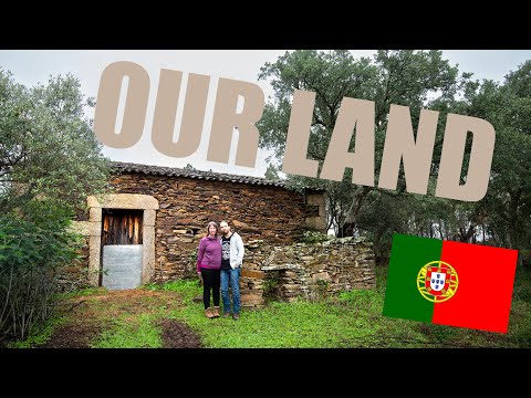 We Bought a Plot of Off-Grid Land in Central Portugal!