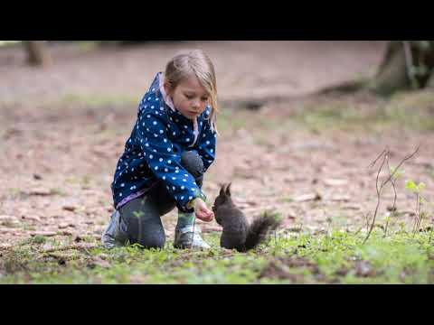 Unterwegs in der Schweiz