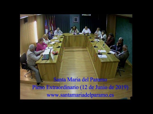 Pleno Extraordinario (12 de Junio de 2019)