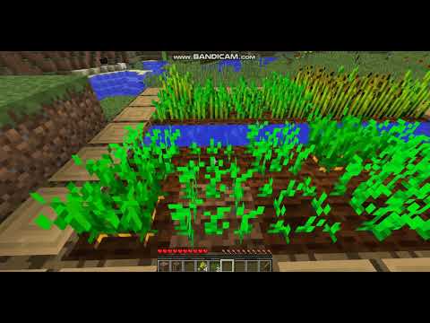 The Survival Of Jivotnoto:Ep 1