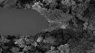 Battery materials In-situ AFM-in-SEM analysis