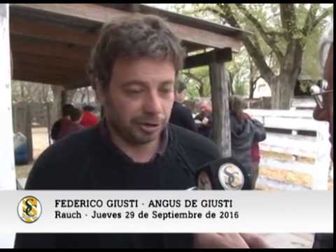 29-09-16 - Federico Giusti - Angus de Giusti - Rauch