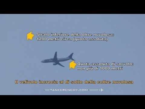 A quello che sogna una merda e vermi Parassita da un materasso