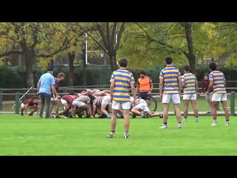 Newman - Hindu Club M17 , equipos B