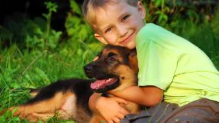 Навчаємося дистанційно