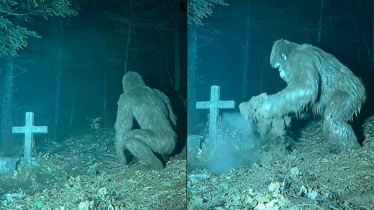 Hình thu nhỏ YouTube