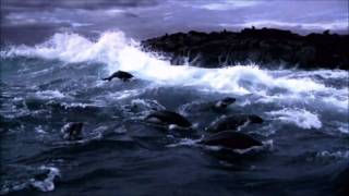 CocoRosie - Grey Oceans Videoclip [HD]