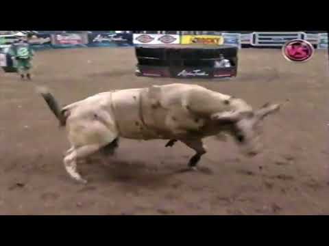 Holy Moly bucks Sean Willingham - 07 PBR Worcester