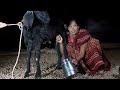 Viral Milk Milking Vlog