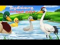 Ugly Duckling In Tamil அழகில்லாத வாத்துக் குஞ்சு Fairy