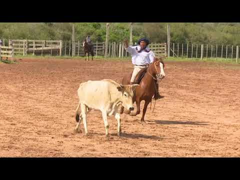Lote 07 - Lamparina do Macanudo