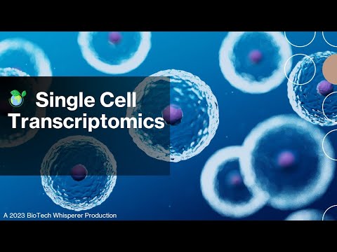 Single Cell Transcriptomics and its Applications Explained in 6 Minutes