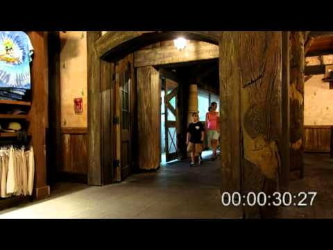 Little's Law at Disney