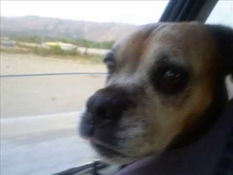 CUMPLEAÑOS ROSEMARIE GRAEPP