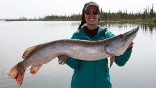 Hunter's Need to Unite- Sportsmen's Alliance Message