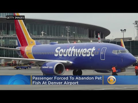 Passenger Forced To Adandon Pet Fish At Denver Airport
