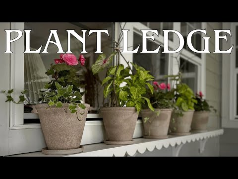 Scalloped Plant Ledge + Shade Plants!