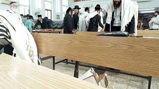נפתלי עולה לתורה