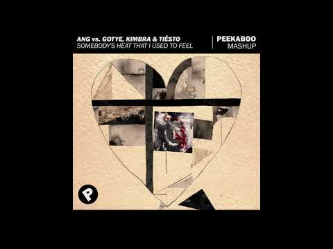 ANG vs. Gotye, Kimbra & Tiësto - Somebody's Heat That I Used To Feel (Peekaboo Mashup)