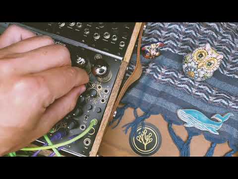 Bizarre I Jezabel Chloe stereo mk2 2021 black/gold image 5