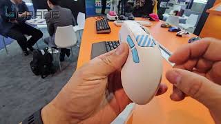 DAREU Gaming Mouse & Keyboard