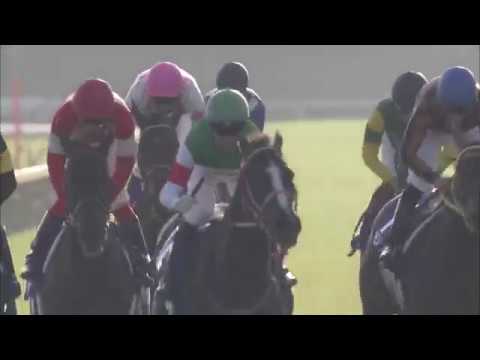 2018 Queen Elizabeth II Cup (G1)