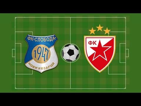 FK "Sloboda" (Novi Kozarci) - FK "Crvena zvezda" (Beograd) (prijateljska utakmica)