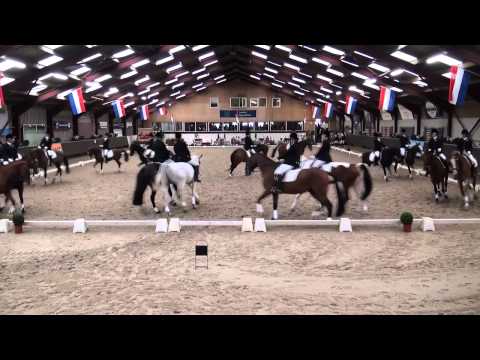 NK Carrousel 2012 B-Pool Paarden - Paarden Carrousel Hoogenboom