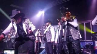 Corridos Laberinto en vivo,El dorado,El cadete,La Korita,El indio enamorado,Nueve caballos,El judío