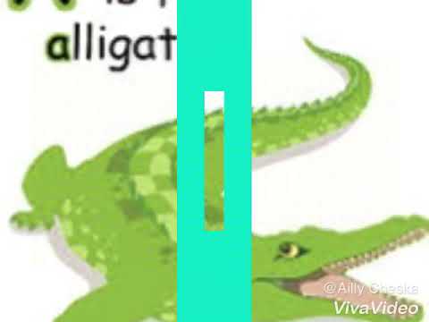 Garfield Class: Letter Aa (Alligator & apple)