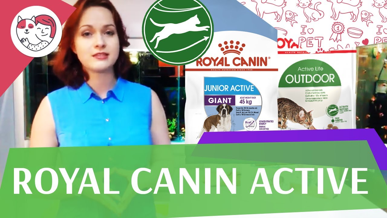 RoyalCanin active на ilikepet