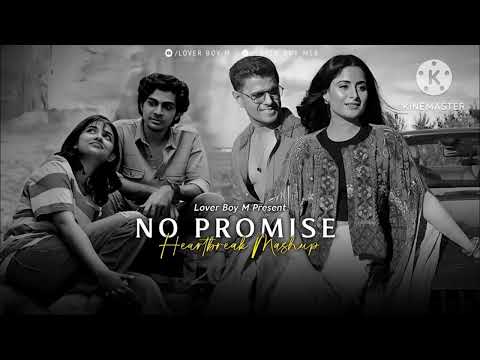 No Promise Mashup 2024 (Mashup Lofi ) Heartbreak  Chillout