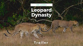 Trailer Preview Image